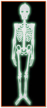 4 ft Glow-in-the-Dark Plastic Skeleton Halloween Decoration
