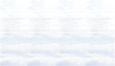 SNOWSCAPE BACKDROP (1PK) 4'X 30'