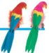 12-Inch Feathered Parrot Decoration
