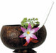 Coconut Cup, 10 oz
