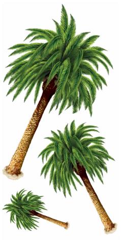 18"-48" PALM TREE PROP 6 TREES
