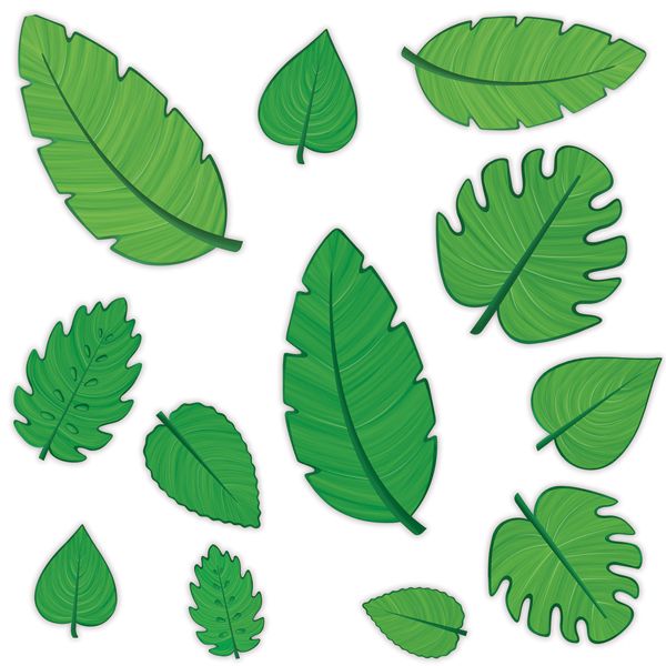 Tropical Leaf Cutouts, 12 Count