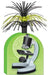 15-Inch Microscope Centerpiece