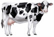 Jointed Cow Decoration, 34.5 Inches