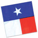 Texas Luncheon Napkins