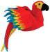 Tropical Parrot Party Hat