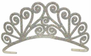 Silver Glittered Tiara with Attachable Combs