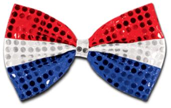 Glitz N Gleam Red, Silver & Blue Bow Tie