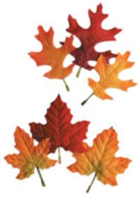 Assorted Oak & Maple Autumn Leaves, 12 Count