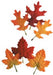 Assorted Oak & Maple Autumn Leaves, 12 Count
