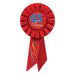 65 & Amazing 65th Birthday Rosette
