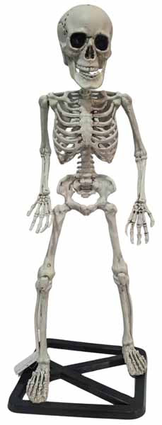 21-Inch Standing Skeleton Halloween Decoration