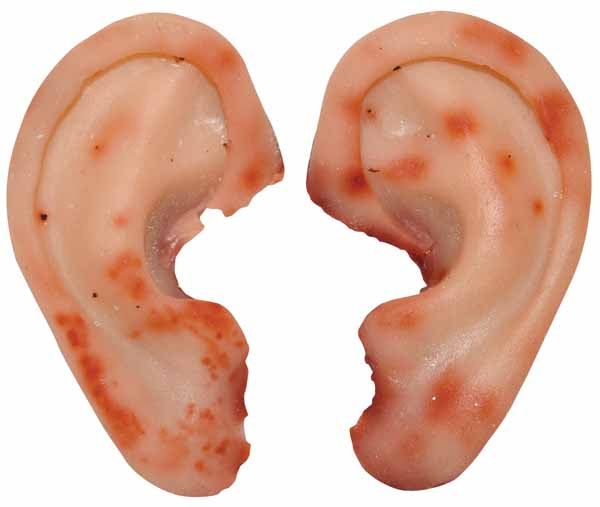 Two-Piece Ear Set