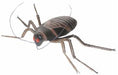 Large Cockroach Halloween Prop