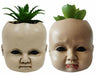 Doll Head Succulent Halloween Decoration, 4.5 Inch
