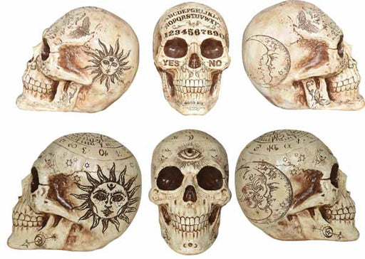 7-Inch Fortune Telling Skull Halloween Decoration