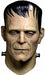 Frankenstein Full Head Latex Mask