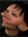 Zagone Studios Bashfool Half Mask with Attached Wig